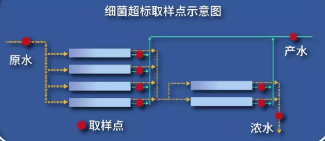 取样实测分布图