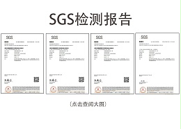 深圳起航-SGSPH剂检测报告
